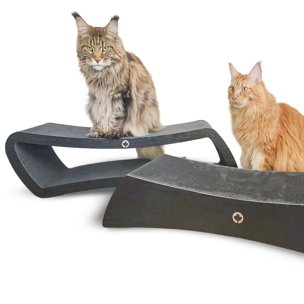 Canadian Cat Eclipse + Pulsar Black kassi kraapimisalused - Image 3