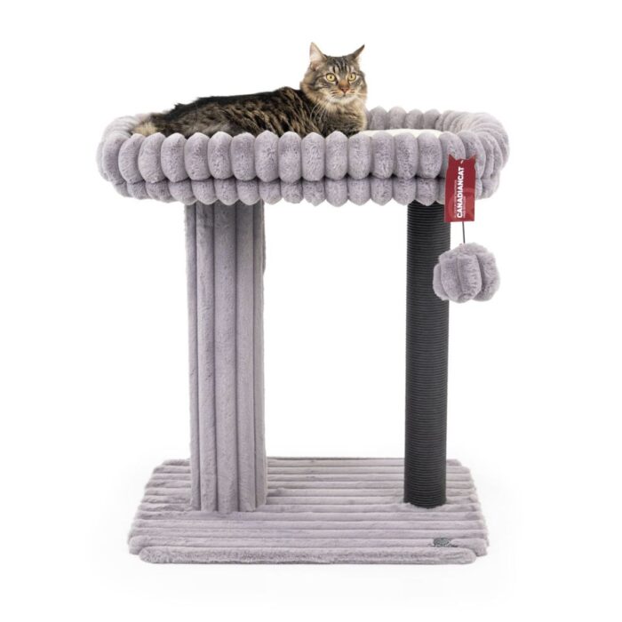 kassi kraapimispuu Canadian Cat Charlotte Grey