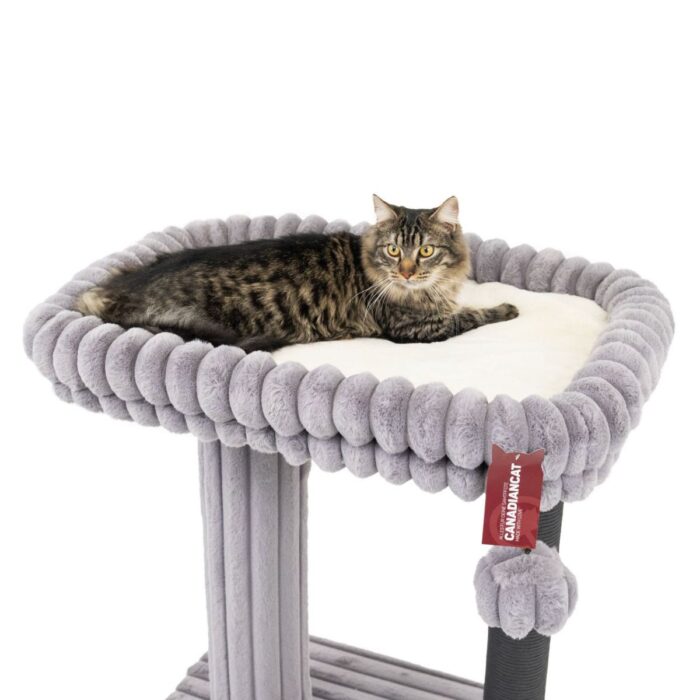 kassi kraapimispuu Canadian Cat Charlotte Grey