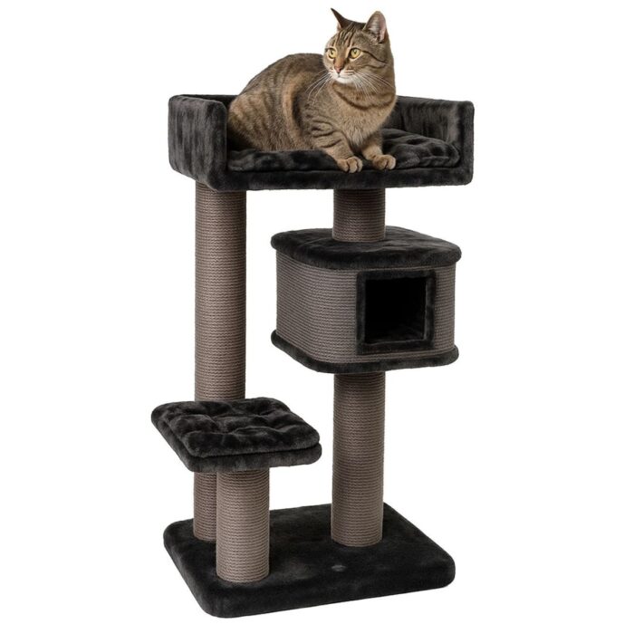kassi kraapimispuu Canadian Cat Portland