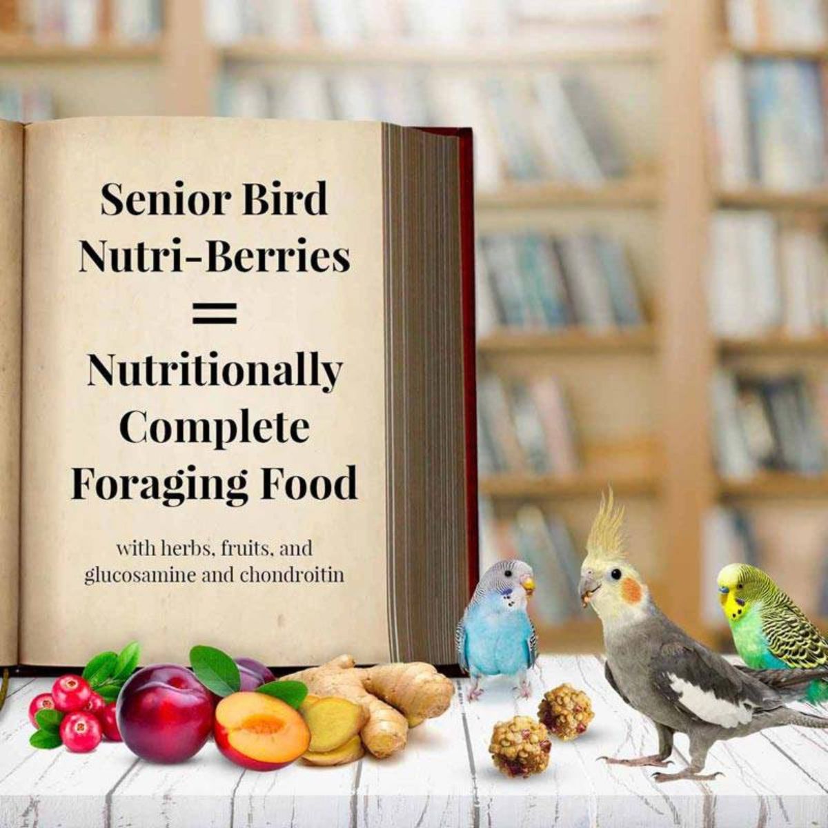 graanultoit eakatele papagoidele senior bird nutri-berries