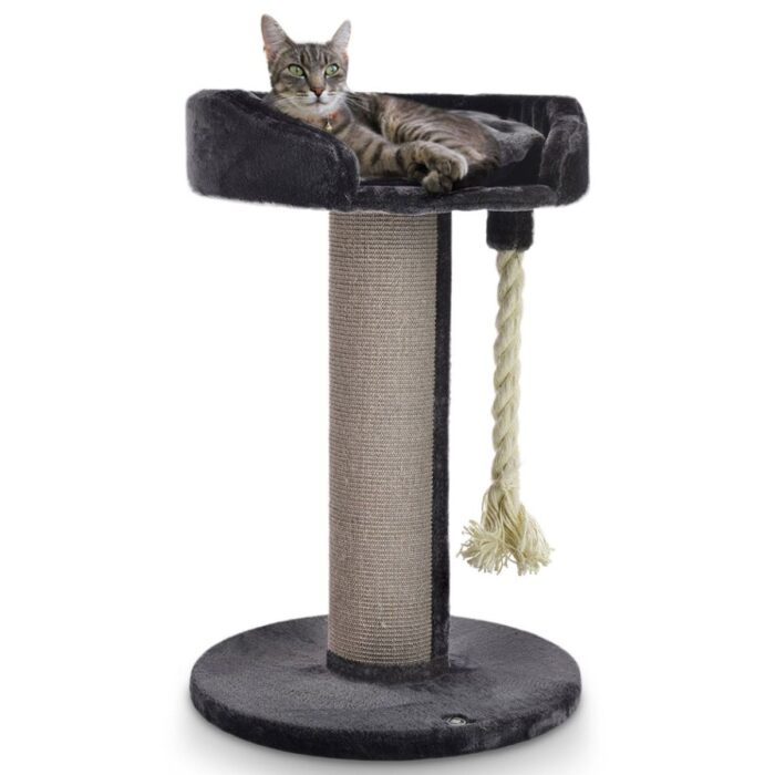 kassi kraapimispuu Canadian Cat Ontario Grey